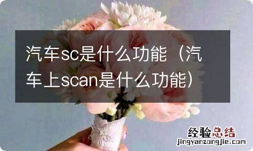 汽车上scan是什么功能 汽车sc是什么功能