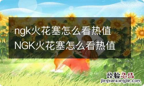 ngk火花塞怎么看热值 NGK火花塞怎么看热值