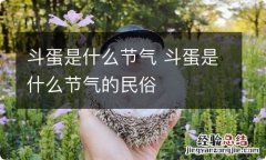 斗蛋是什么节气 斗蛋是什么节气的民俗