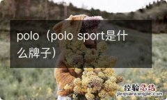 polo sport是什么牌子 polo