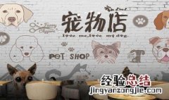 开宠物店需要学什么 开宠物店需要学什么专业大学