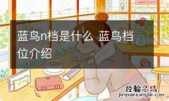 蓝鸟n档是什么 蓝鸟档位介绍