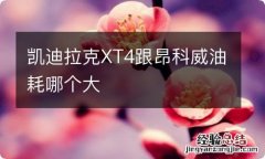 凯迪拉克XT4跟昂科威油耗哪个大