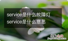 service是什么故障灯 service是什么意思