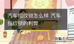 汽车指纹锁怎么样 汽车指纹锁的利弊