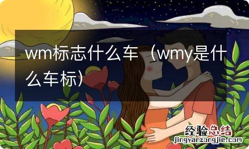 wmy是什么车标 wm标志什么车