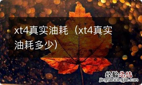 xt4真实油耗多少 xt4真实油耗