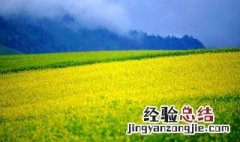 二四八月是什么季节 八月是什么季节