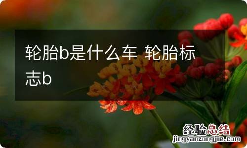 轮胎b是什么车 轮胎标志b