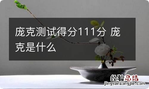 庞克测试得分111分 庞克是什么