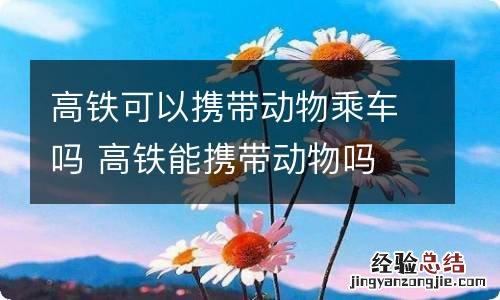 高铁可以携带动物乘车吗 高铁能携带动物吗