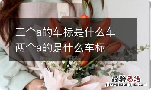 三个a的车标是什么车 两个a的是什么车标