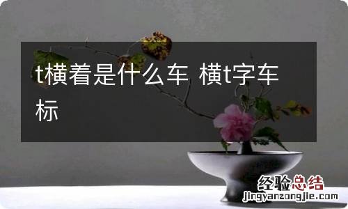 t横着是什么车 横t字车标