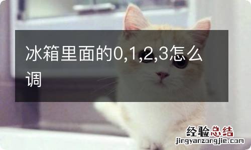 冰箱里面的0,1,2,3怎么调