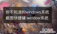 你不知道的windows系统截图快捷键 window系统截图工具快捷键