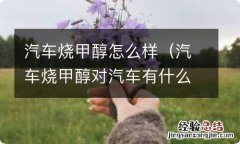 汽车烧甲醇对汽车有什么危害 汽车烧甲醇怎么样