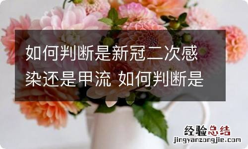 如何判断是新冠二次感染还是甲流 如何判断是新冠二次感染还是甲流病毒