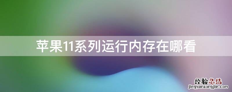 iPhone11系列运行内存在哪看