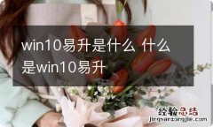 win10易升是什么 什么是win10易升