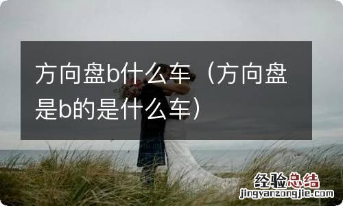 方向盘是b的是什么车 方向盘b什么车