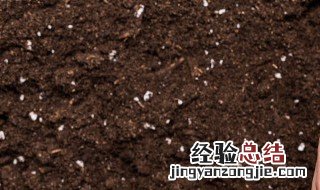 羊粪怎么发酵才可以当肥料 羊粪如何发酵才可以当肥料