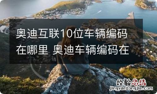 奥迪互联10位车辆编码在哪里 奥迪车辆编码在哪儿