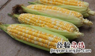 怎么冷冻保存玉米 冷冻保存玉米生的好还是熟的保存好