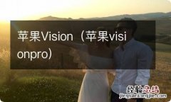 苹果visionpro 苹果Vision