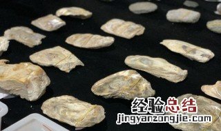 骨耜是什么工具? 骨耜是用来做什么的