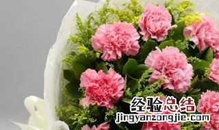 19朵康乃馨花语和寓意 19朵康乃馨花语