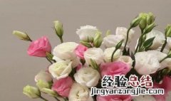 不同颜色洋桔梗花语 各种颜色洋桔梗花语是什么