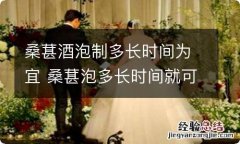 桑葚酒泡制多长时间为宜 桑葚泡多长时间就可以了