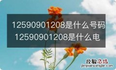 12590901208是什么号码 12590901208是什么电话