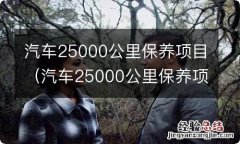 汽车25000公里保养项目表 汽车25000公里保养项目