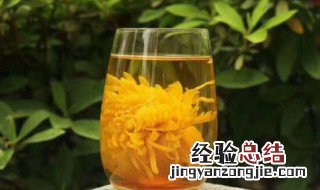 菊花泡水变绿色能喝吗 菊花泡水变绿色能不能喝