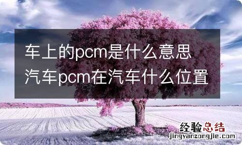 车上的pcm是什么意思 汽车pcm在汽车什么位置