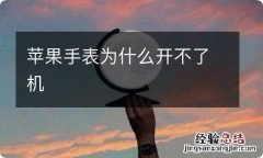 苹果手表为什么开不了机