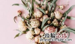 香槟玫瑰花花语是什么意思 香槟玫瑰花的花语是什么