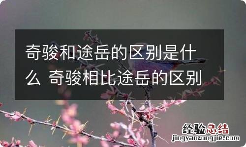 奇骏和途岳的区别是什么 奇骏相比途岳的区别