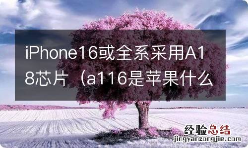 a116是苹果什么型号 iPhone16或全系采用A18芯片