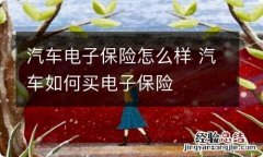 汽车电子保险怎么样 汽车如何买电子保险