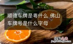 顺德车牌是粤什么 佛山车牌号是什么字母