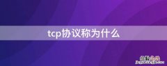 tcp协议称为什么