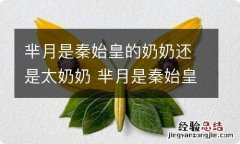 芈月是秦始皇的奶奶还是太奶奶 芈月是秦始皇的奶奶不