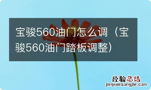 宝骏560油门踏板调整 宝骏560油门怎么调