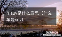 什么车是suv 车suv是什么意思