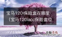 宝马120iacc保险盒位置图 宝马120i保险盒在哪里