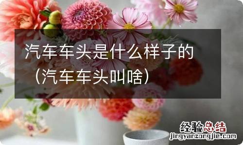 汽车车头叫啥 汽车车头是什么样子的