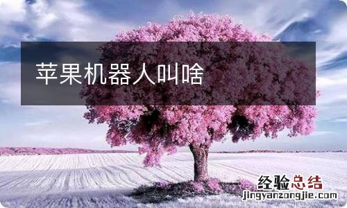 苹果机器人叫啥