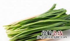 韭菜种子怎么种植方法如下 韭菜种子种植方法